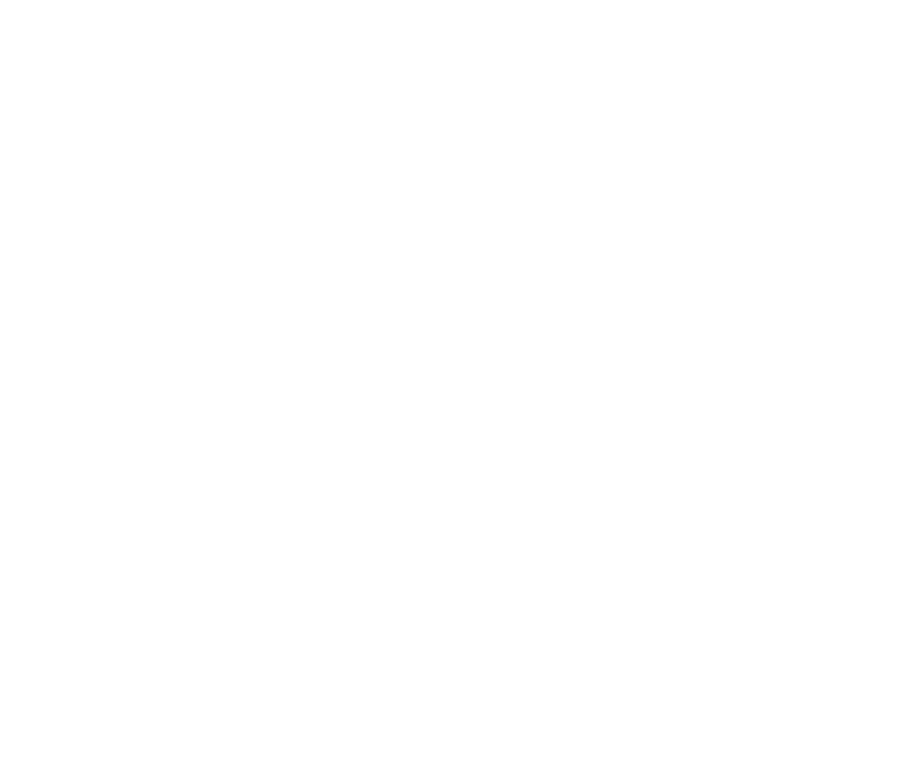 CES Consulting